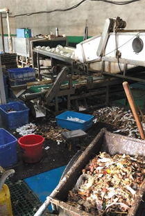 餐具消毒企业被查引关注，餐饮行业卫生管理再敲警钟